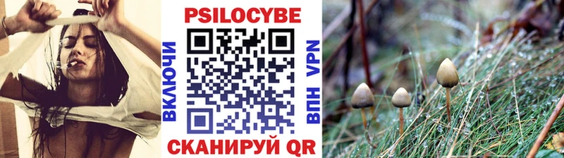 Псилоцибиновые грибы ЛСД  Купить закладки  Нерехта 